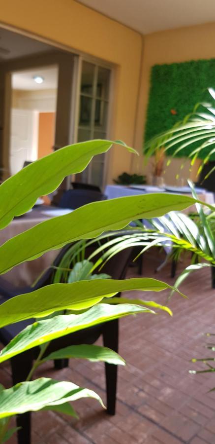 Mh Boutique Hotel San Pedro Sula Exterior foto